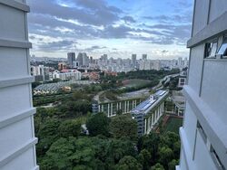 Braddell View (D20), Apartment #539163171